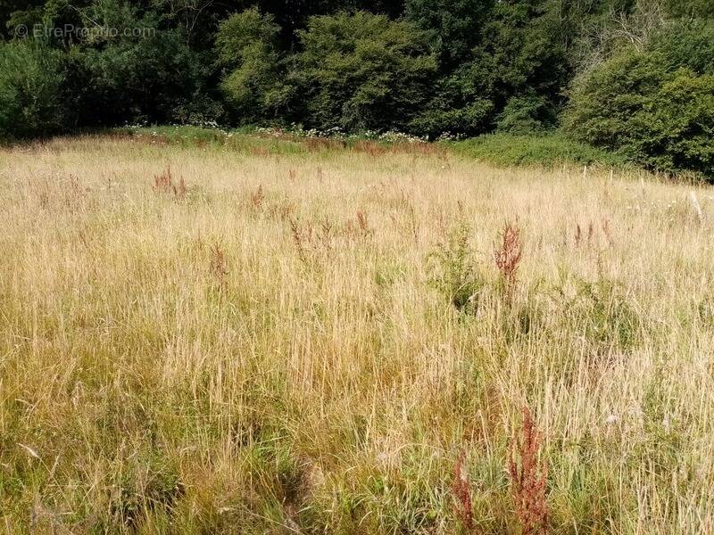 Terrain à HERICOURT-EN-CAUX