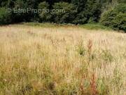 Terrain à HERICOURT-EN-CAUX