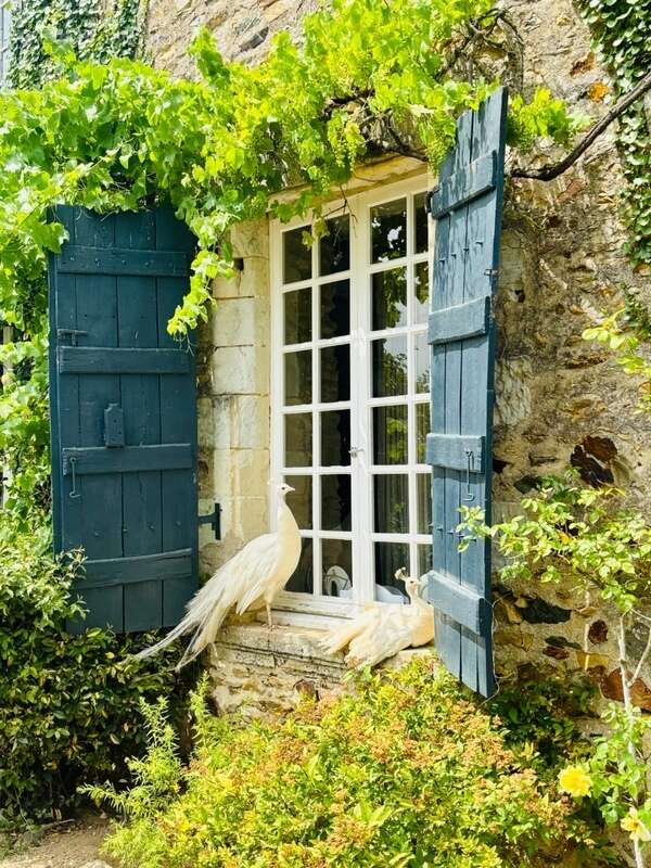 Maison à CHATEAU-GONTIER