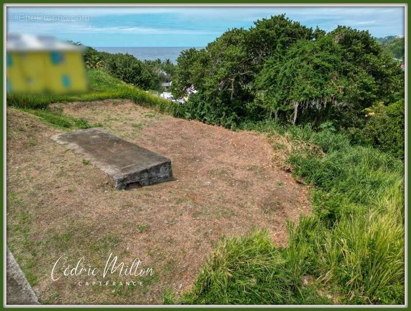 Terrain à LE LORRAIN