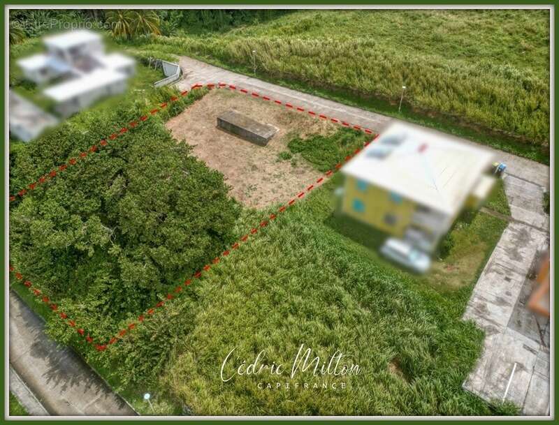 Terrain à LE LORRAIN