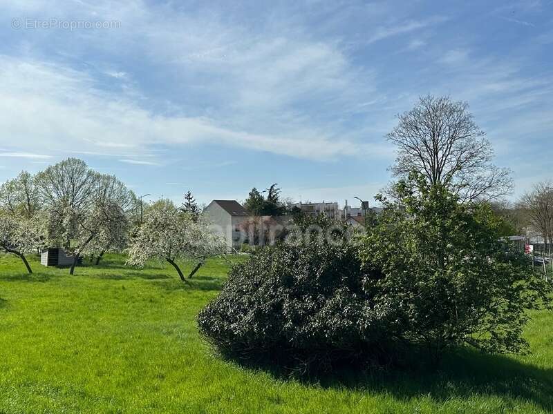 Terrain à SARTROUVILLE