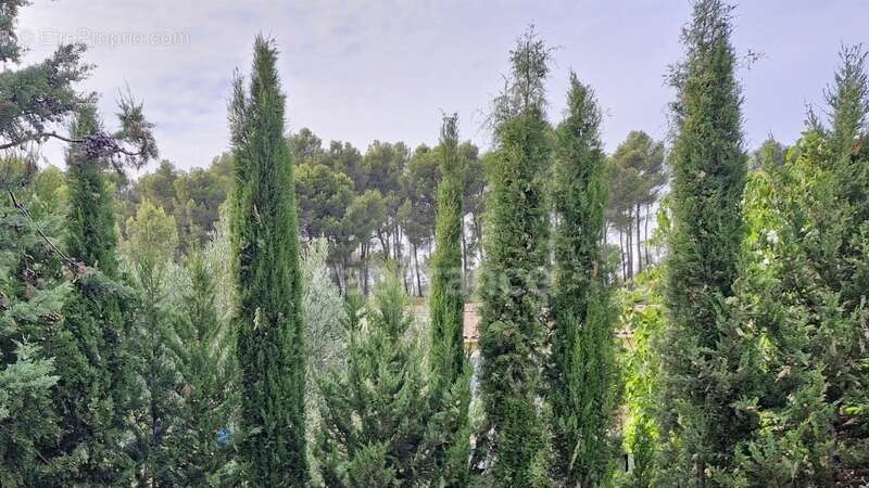 Maison à BOUC-BEL-AIR