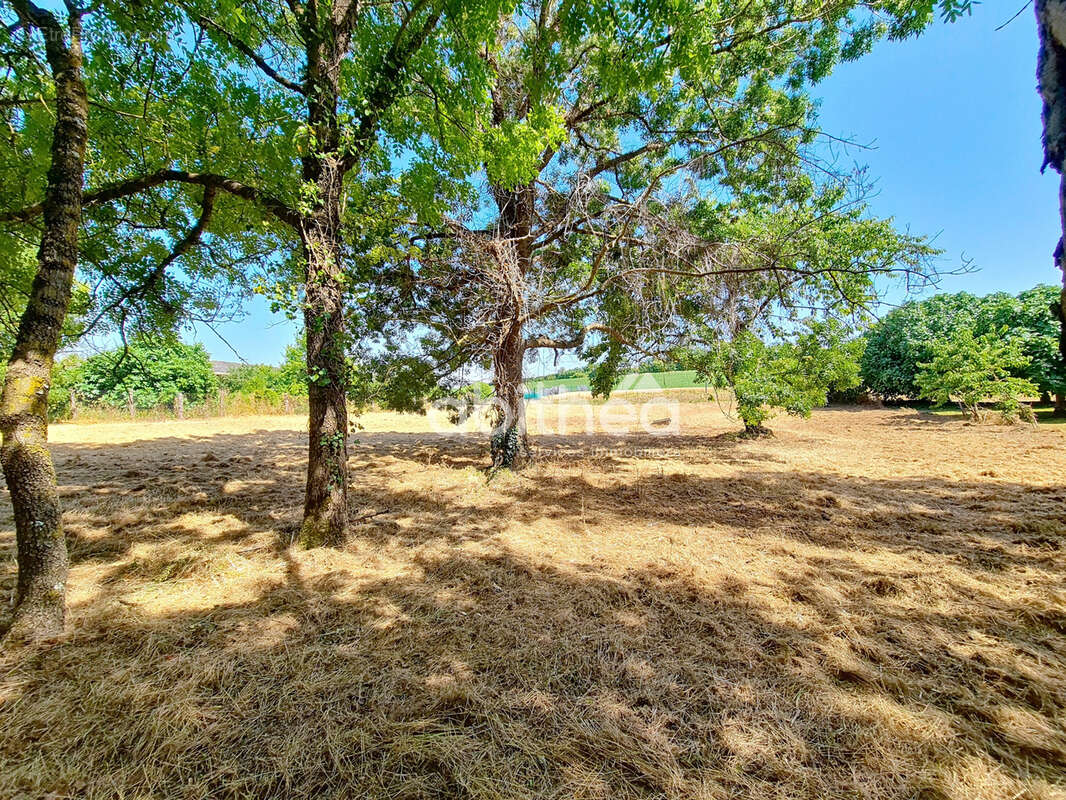 Terrain à FLOIRAC