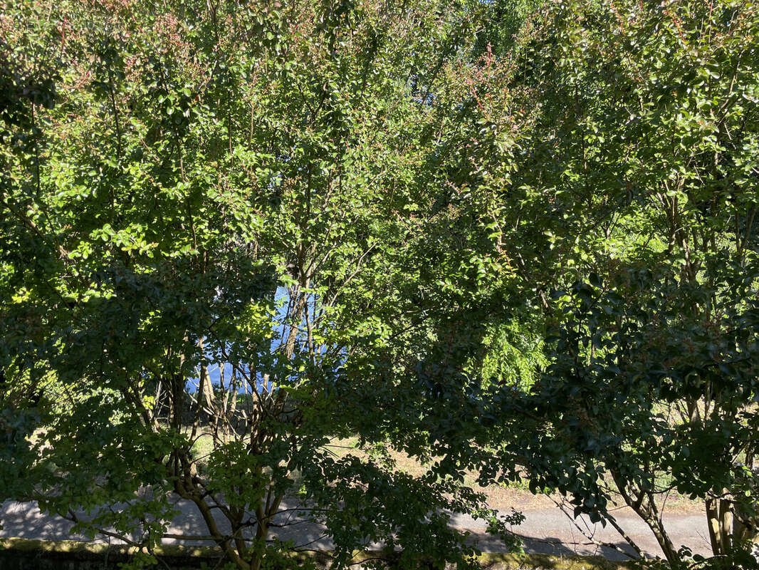 Maison à MOULIETS-ET-VILLEMARTIN