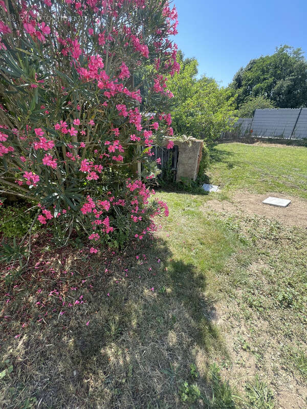 Maison à LA CHAPELLE-LAUNAY
