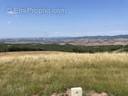 Terrain à MOUNES-PROHENCOUX