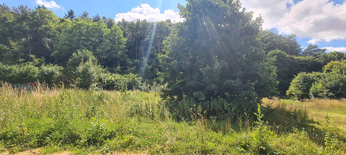 Terrain à SOMMEDIEUE