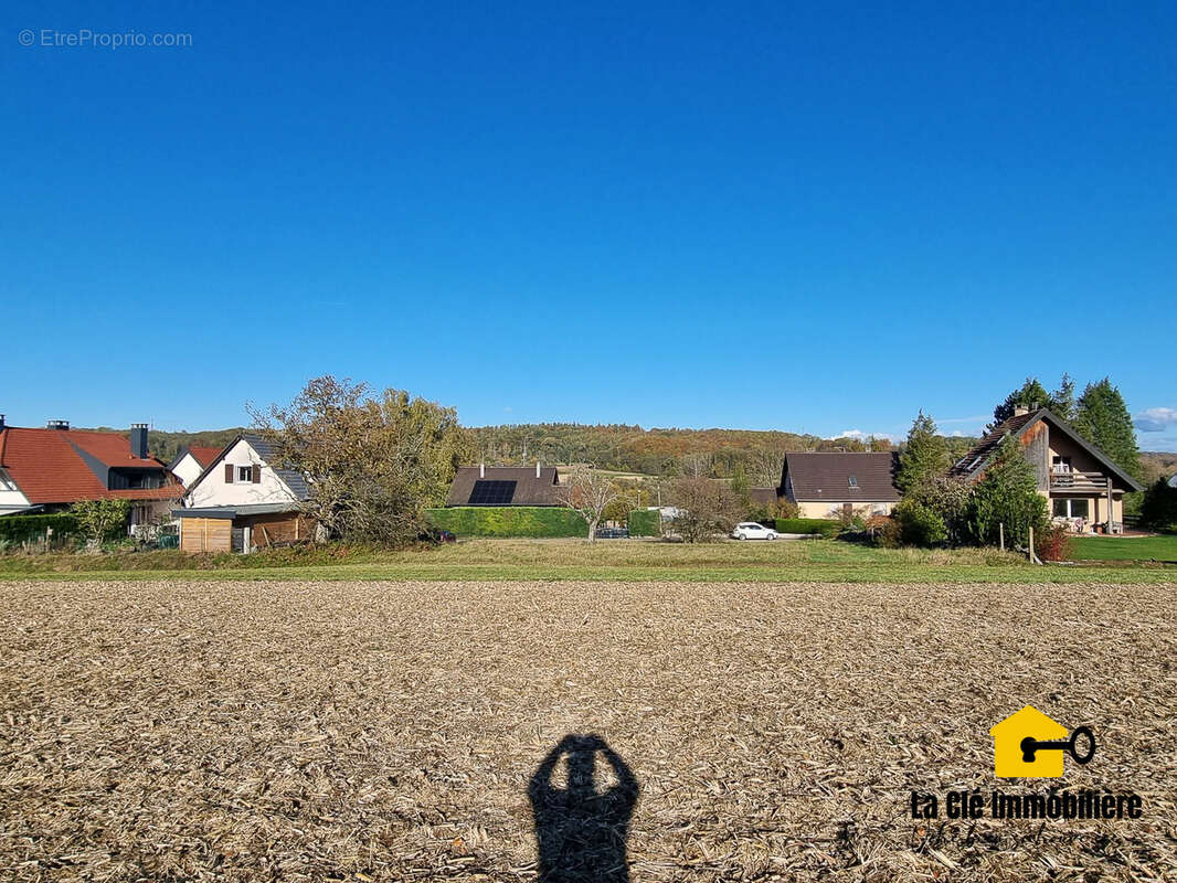 Terrain à HIRSINGUE