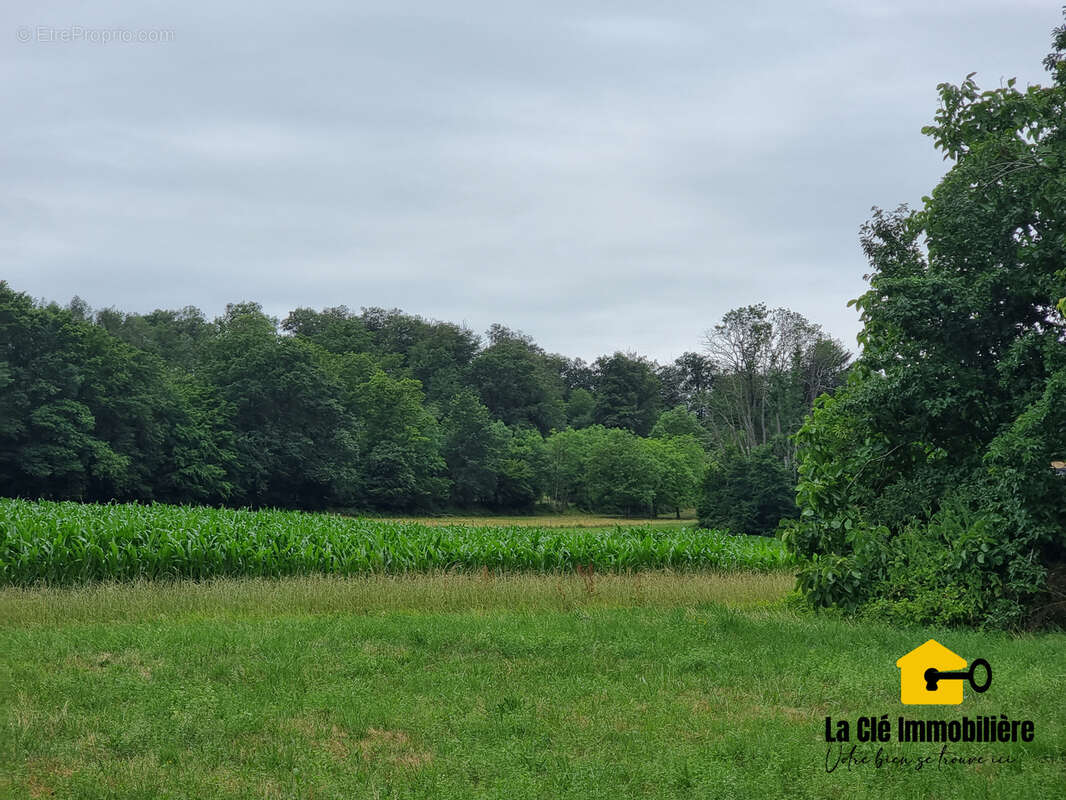 Terrain à HIRSINGUE