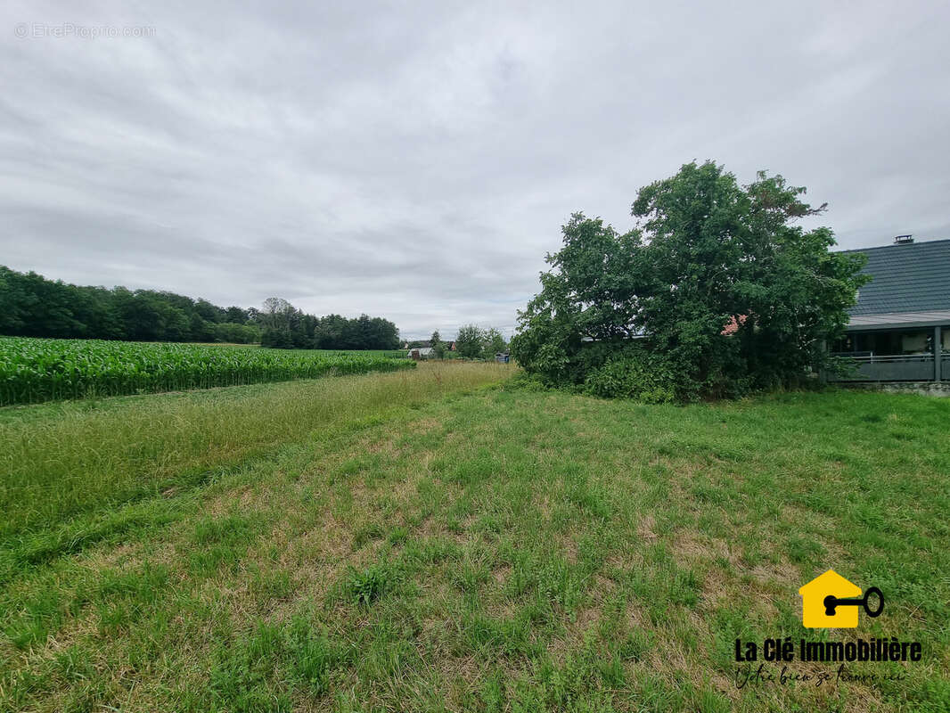 Terrain à HIRSINGUE