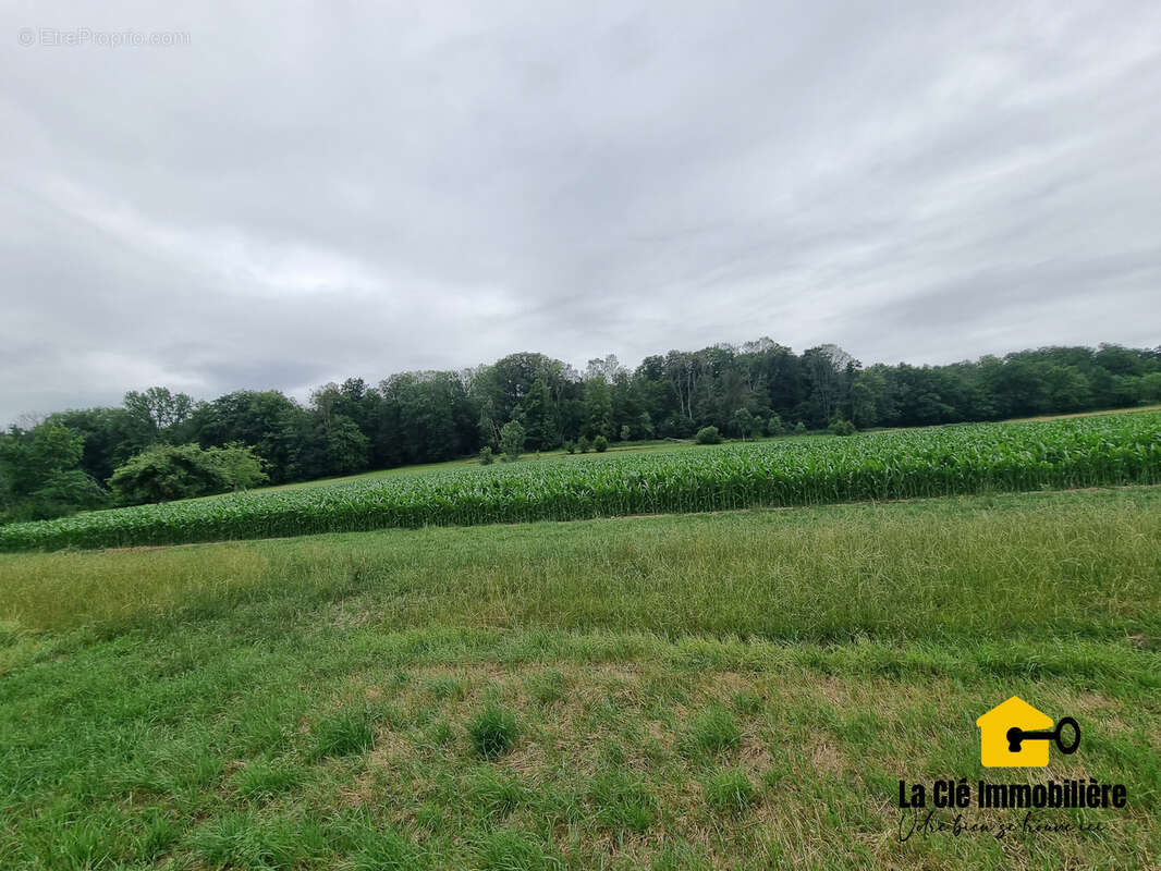 Terrain à HIRSINGUE