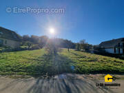 Terrain à HIRSINGUE