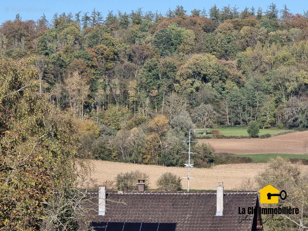 Terrain à HIRSINGUE