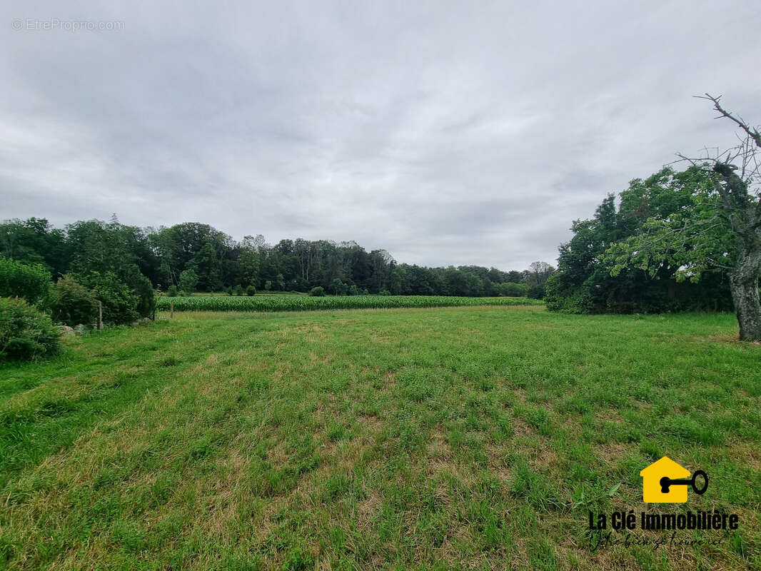 Terrain à HIRSINGUE