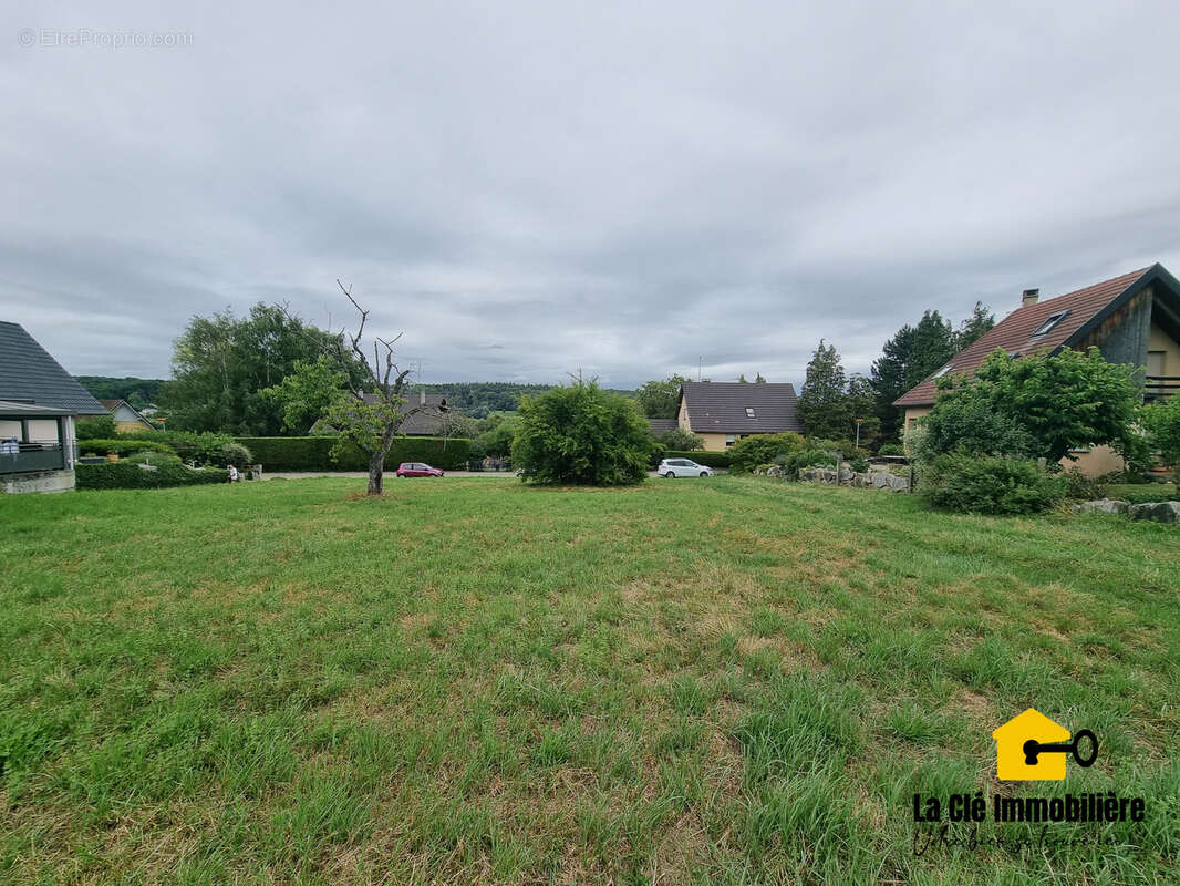 Terrain à HIRSINGUE