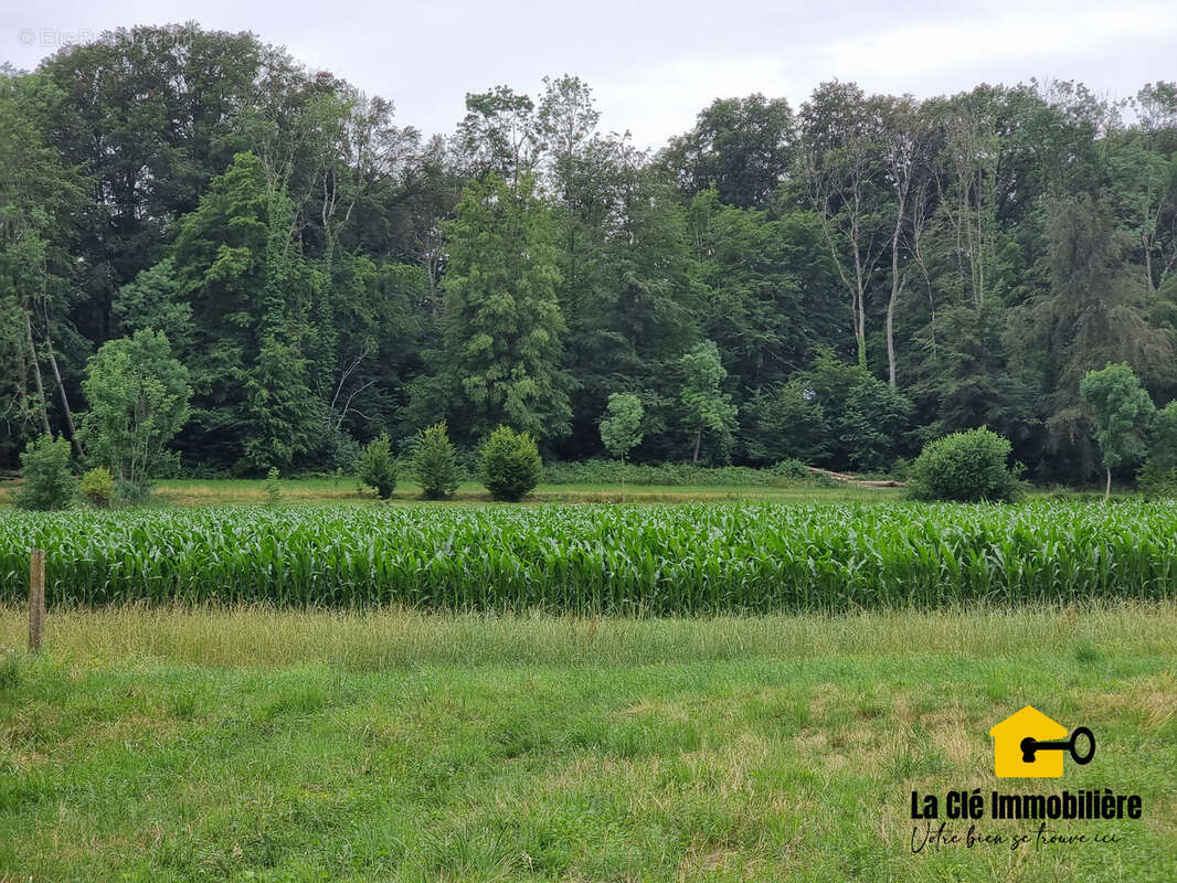 Terrain à HIRSINGUE