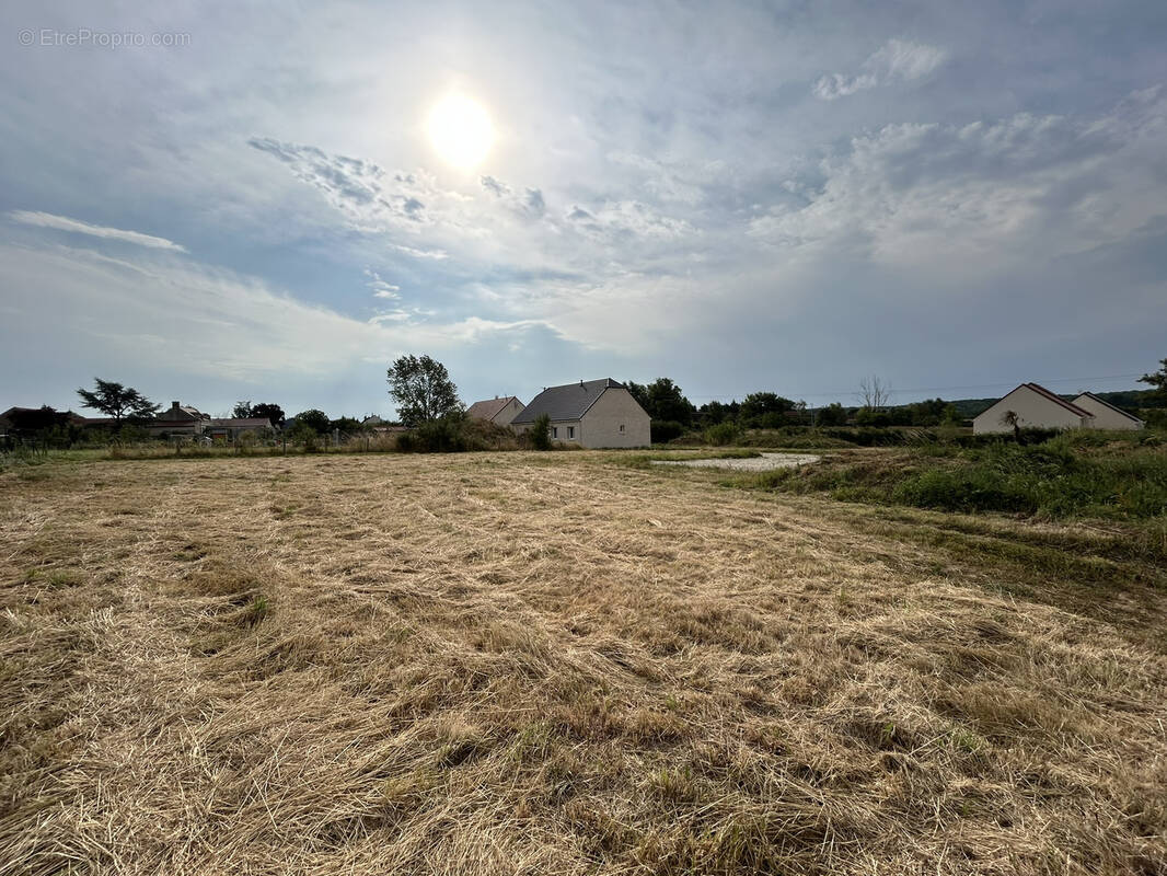Terrain à BLEIGNY-LE-CARREAU