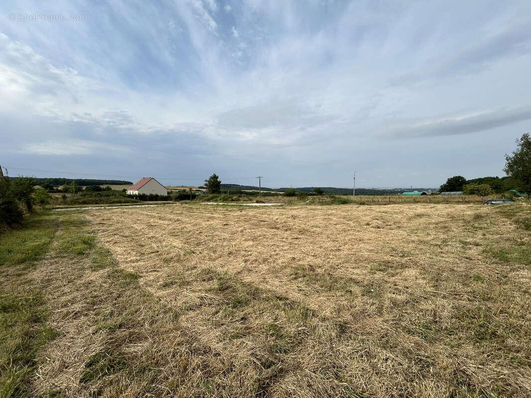 Terrain à BLEIGNY-LE-CARREAU