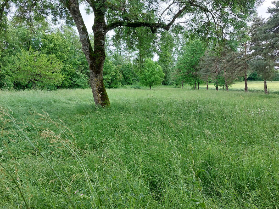 Maison à CASTELNAU-MONTRATIER