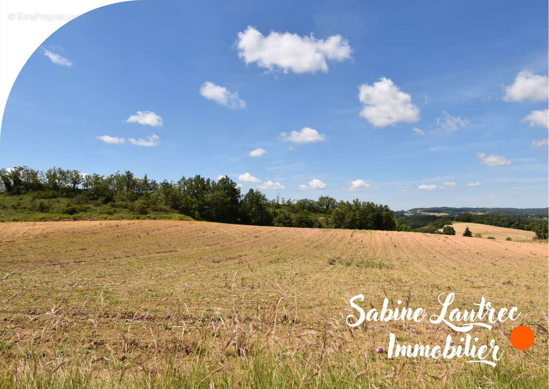 Terrain à LAUTREC