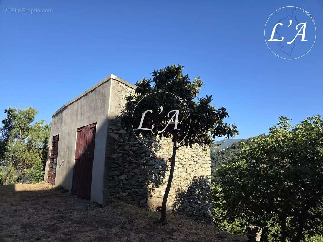 Maison à SANTO-PIETRO-DI-TENDA