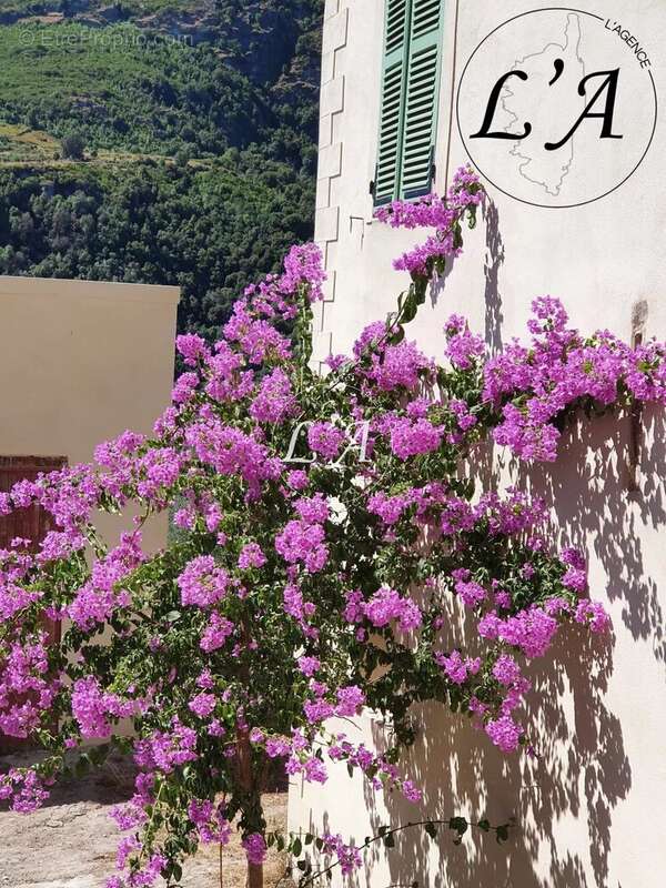 Maison à SANTO-PIETRO-DI-TENDA