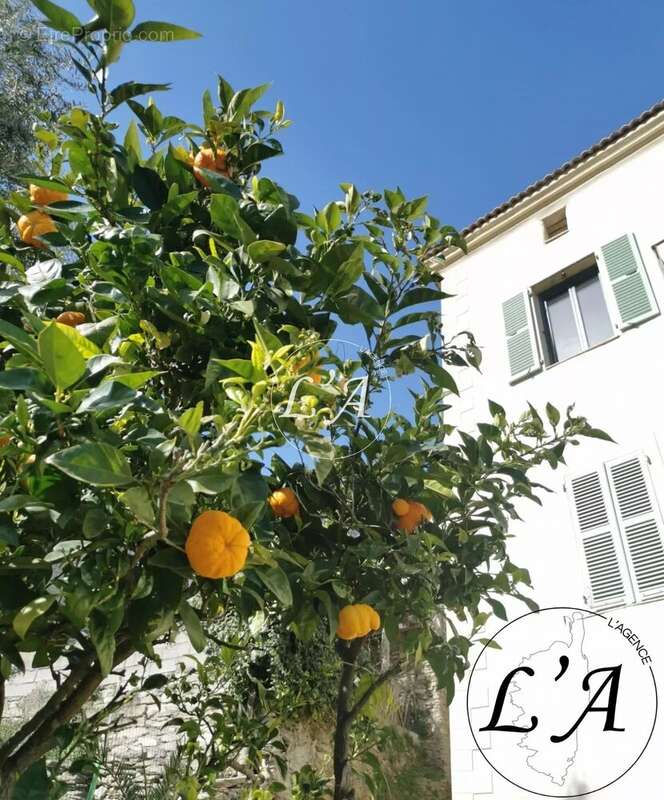 Maison à SANTO-PIETRO-DI-TENDA