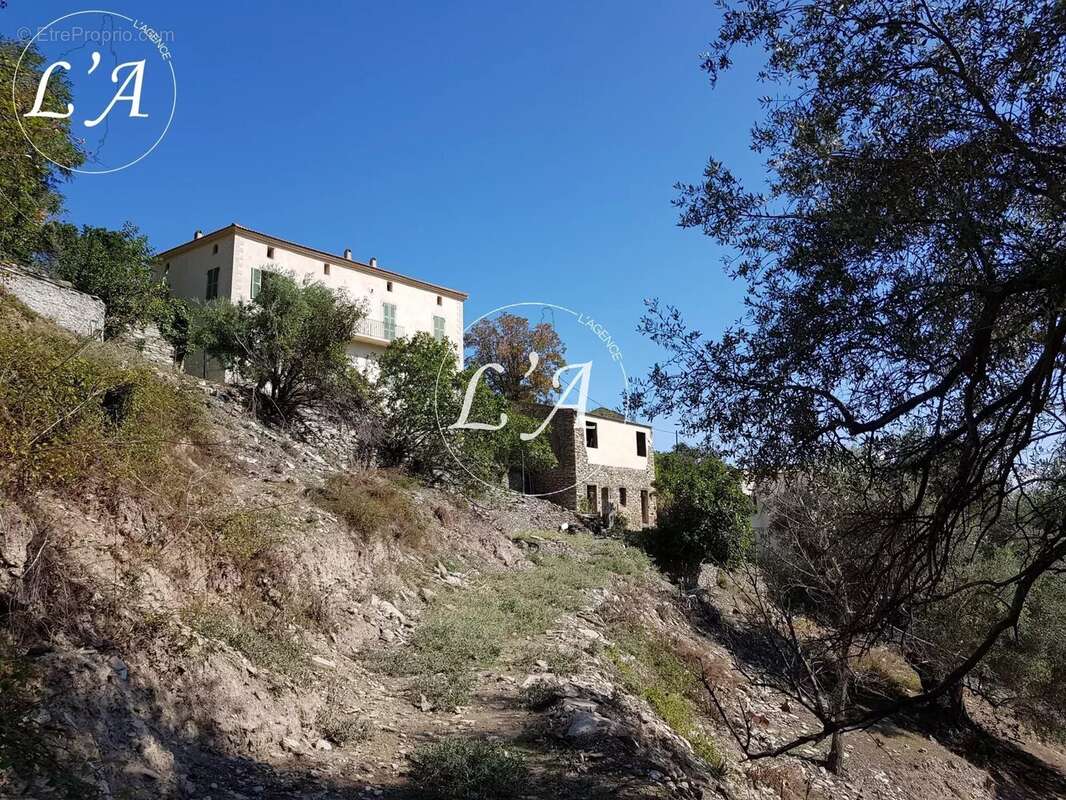 Maison à SANTO-PIETRO-DI-TENDA