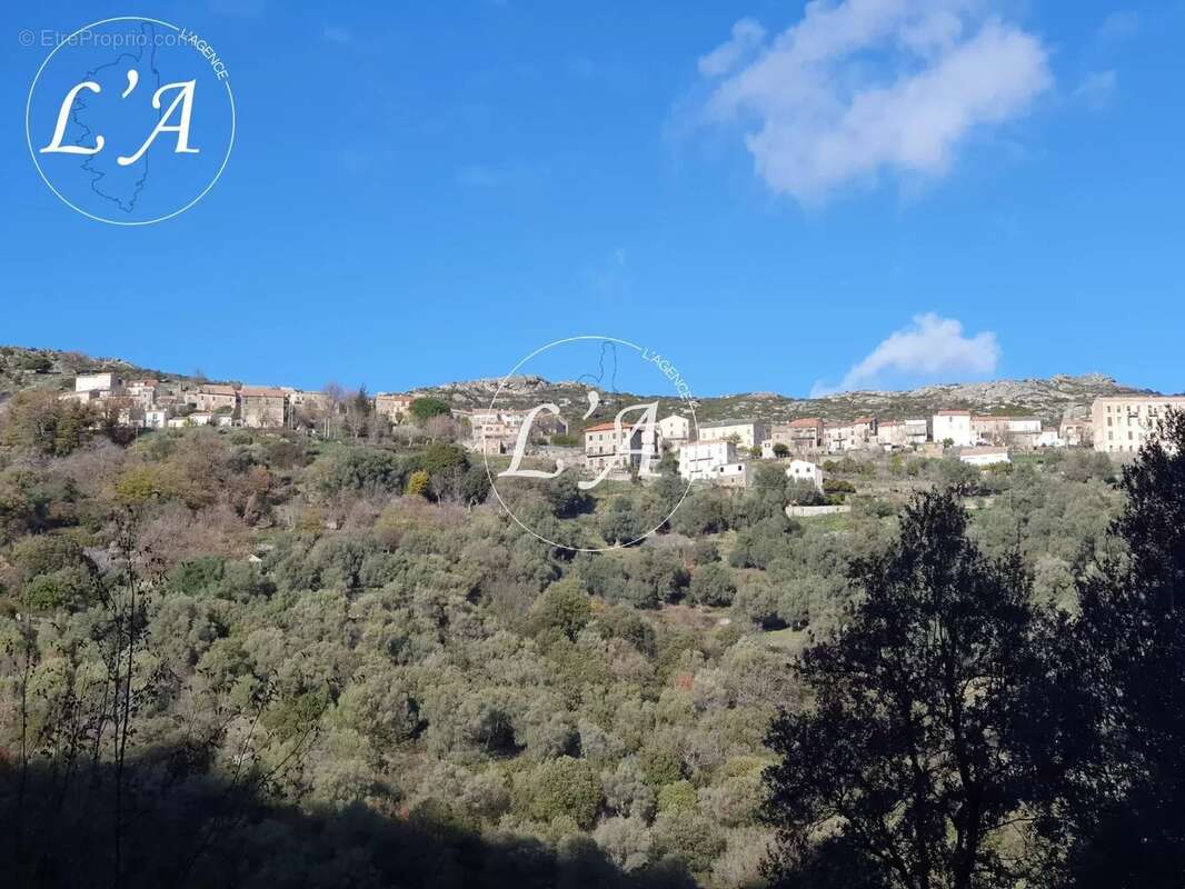 Maison à SANTO-PIETRO-DI-TENDA