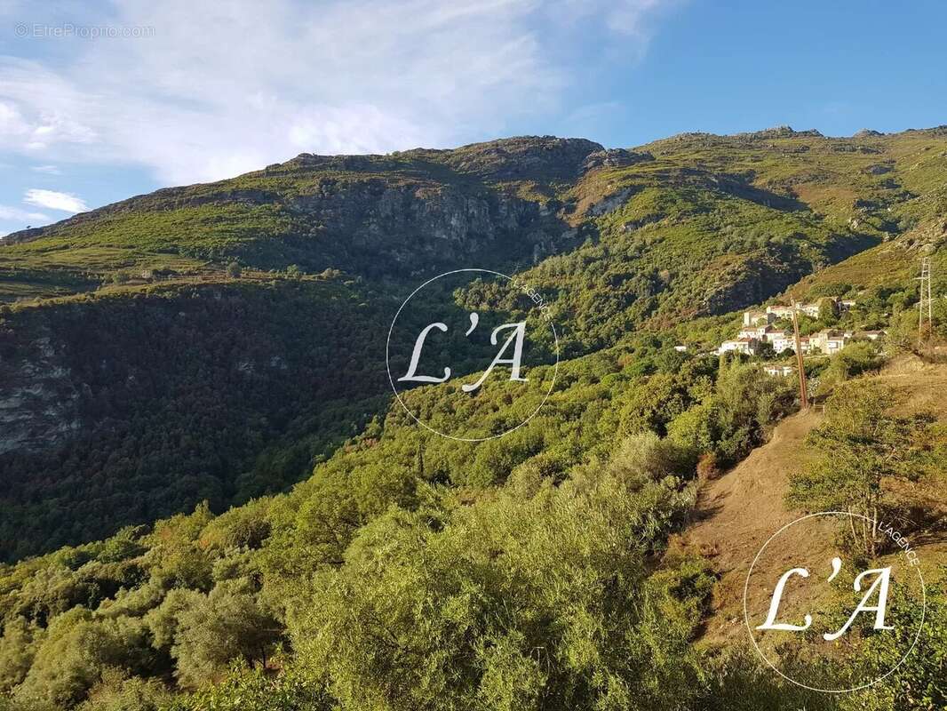 Maison à SANTO-PIETRO-DI-TENDA