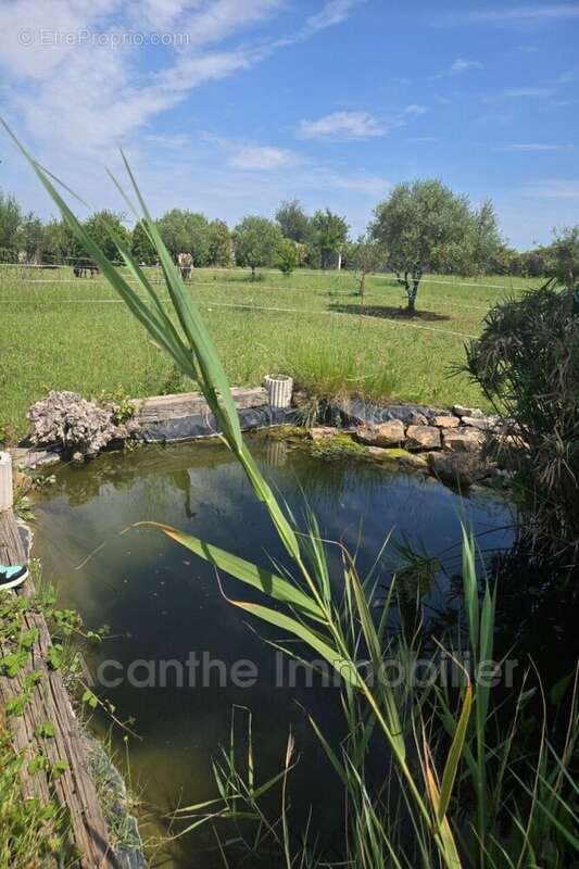 Maison à LUNEL-VIEL