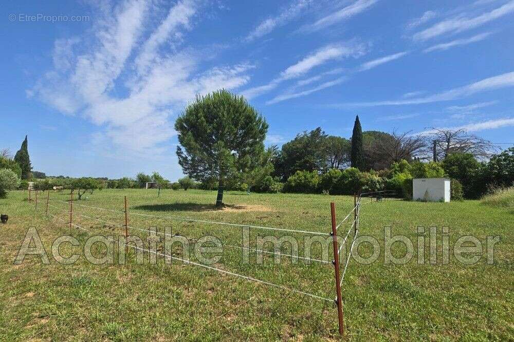 Maison à LUNEL-VIEL