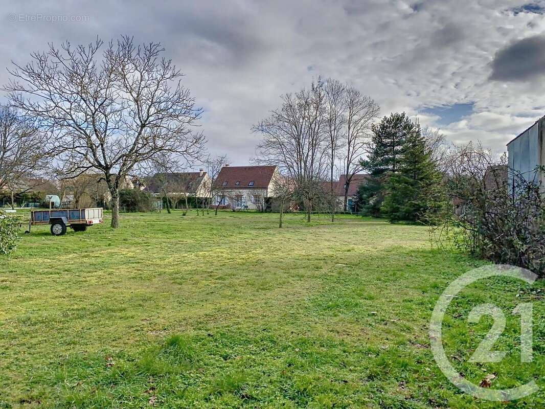 Terrain à LA FERTE-SAINT-AUBIN