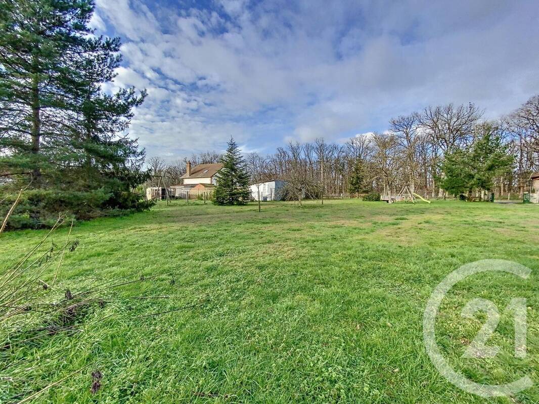 Terrain à LA FERTE-SAINT-AUBIN