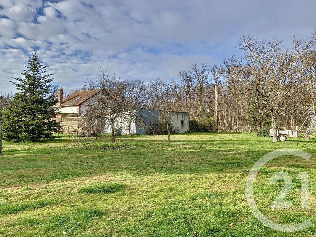 Terrain à LA FERTE-SAINT-AUBIN