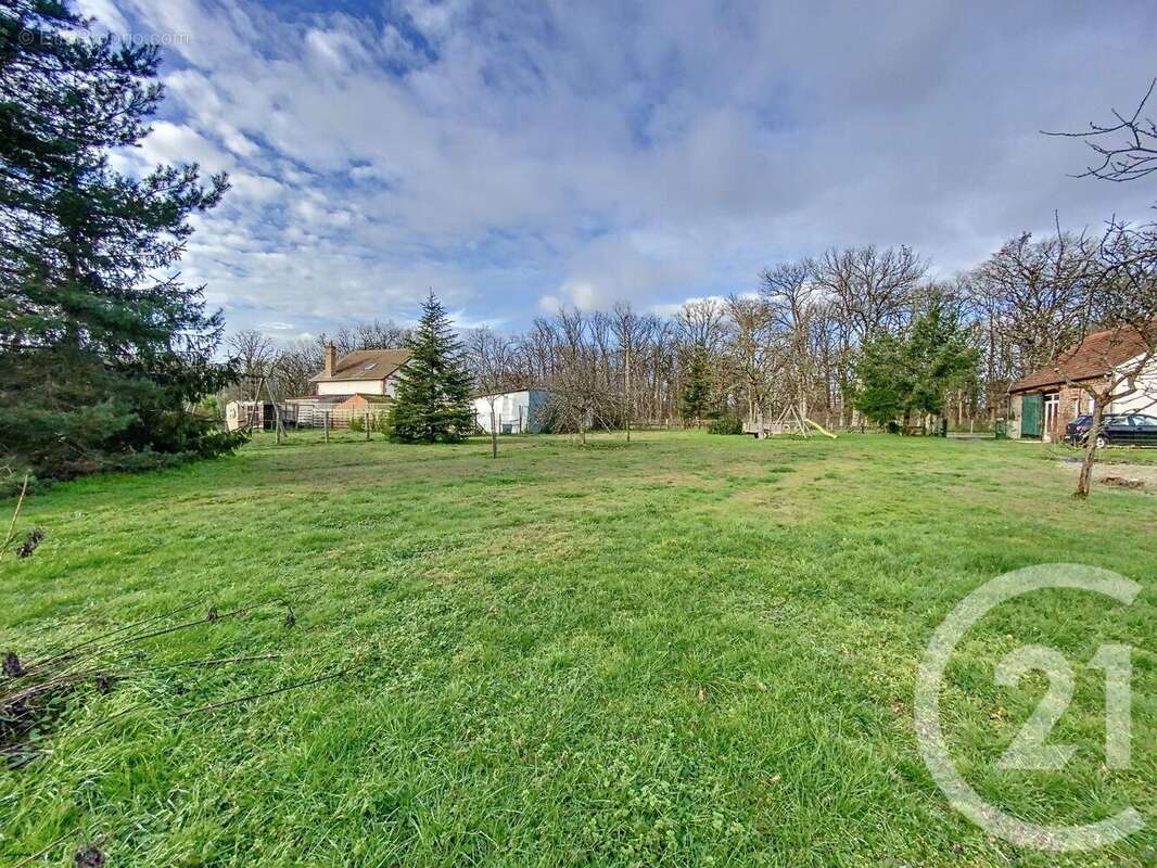 Terrain à LA FERTE-SAINT-AUBIN