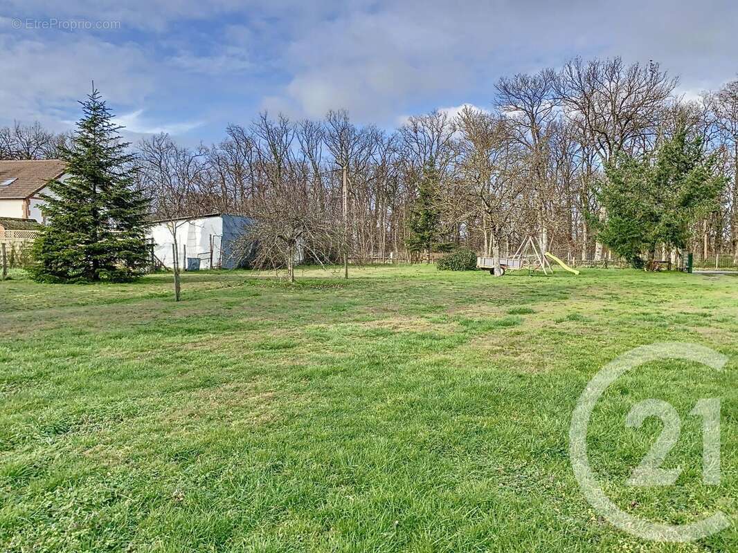Terrain à LA FERTE-SAINT-AUBIN