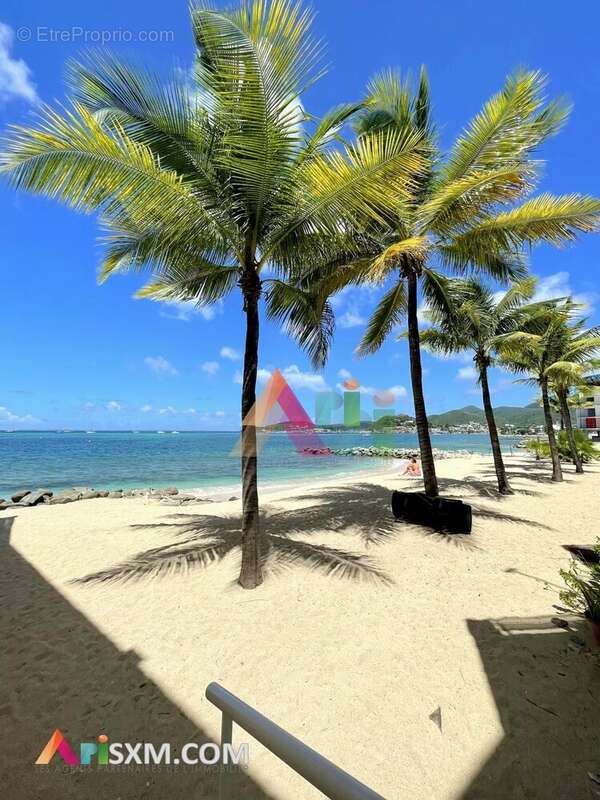 Appartement à SAINT-MARTIN