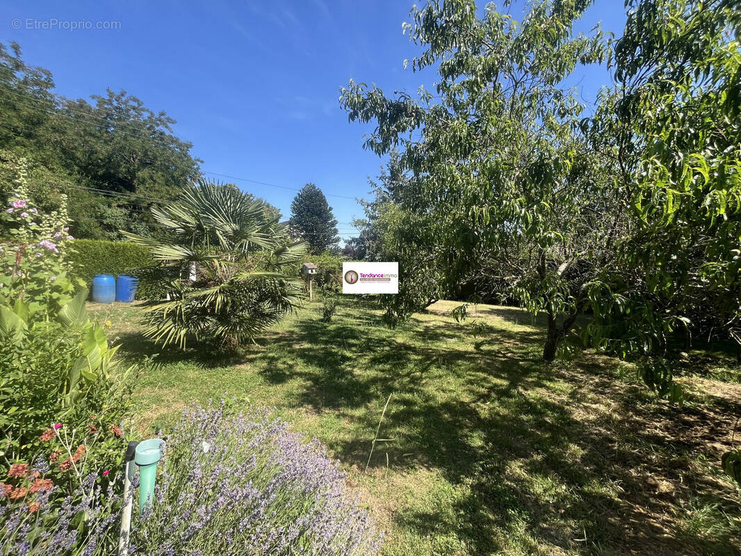 Maison à MORTAGNE-AU-PERCHE