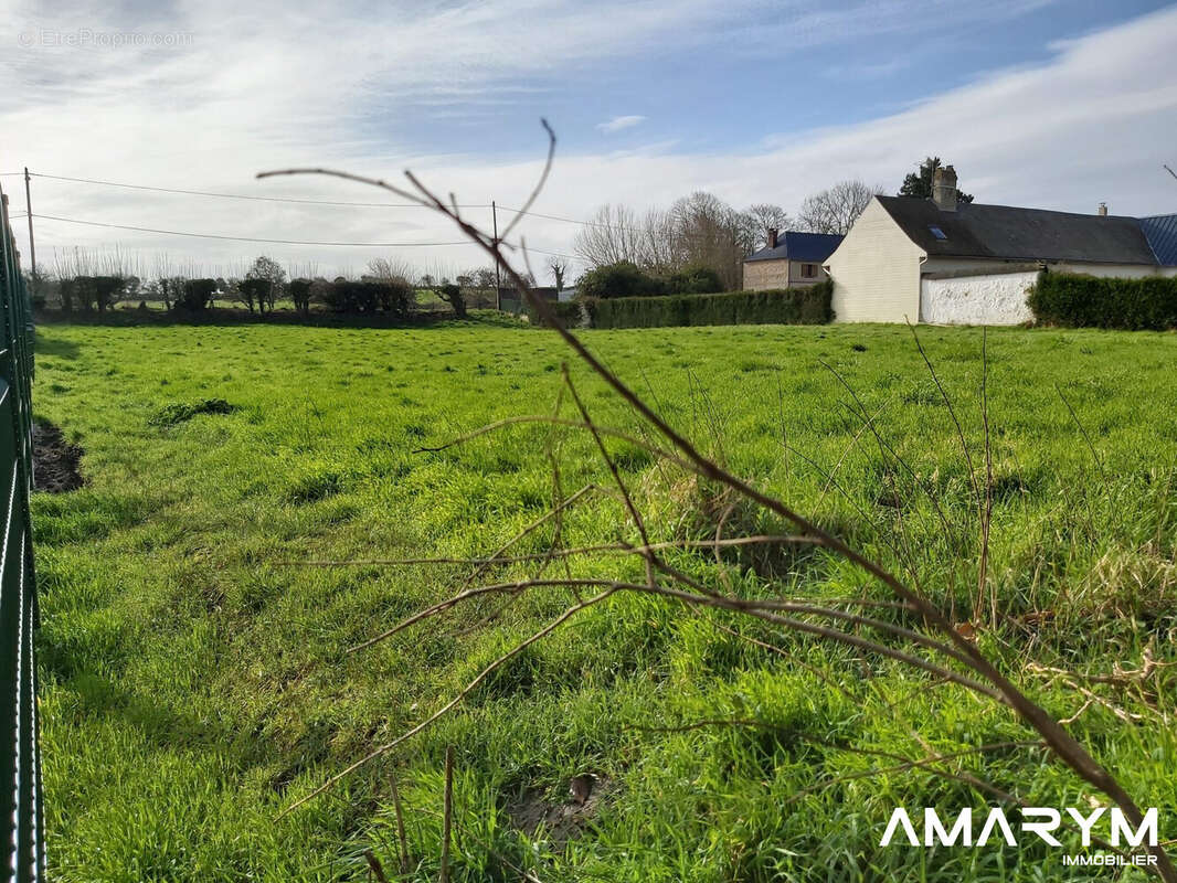 Terrain à BRUTELLES