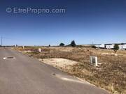 Terrain à LORREZ-LE-BOCAGE-PREAUX