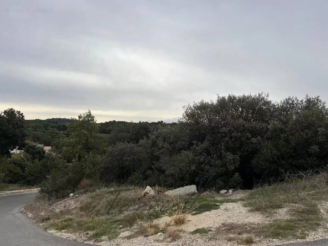 Terrain à MONDRAGON