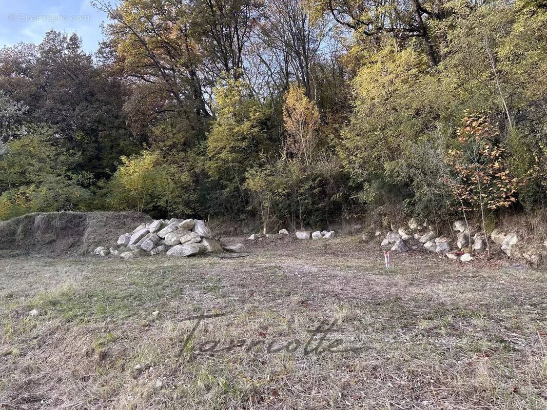 Terrain à MONTELIMAR