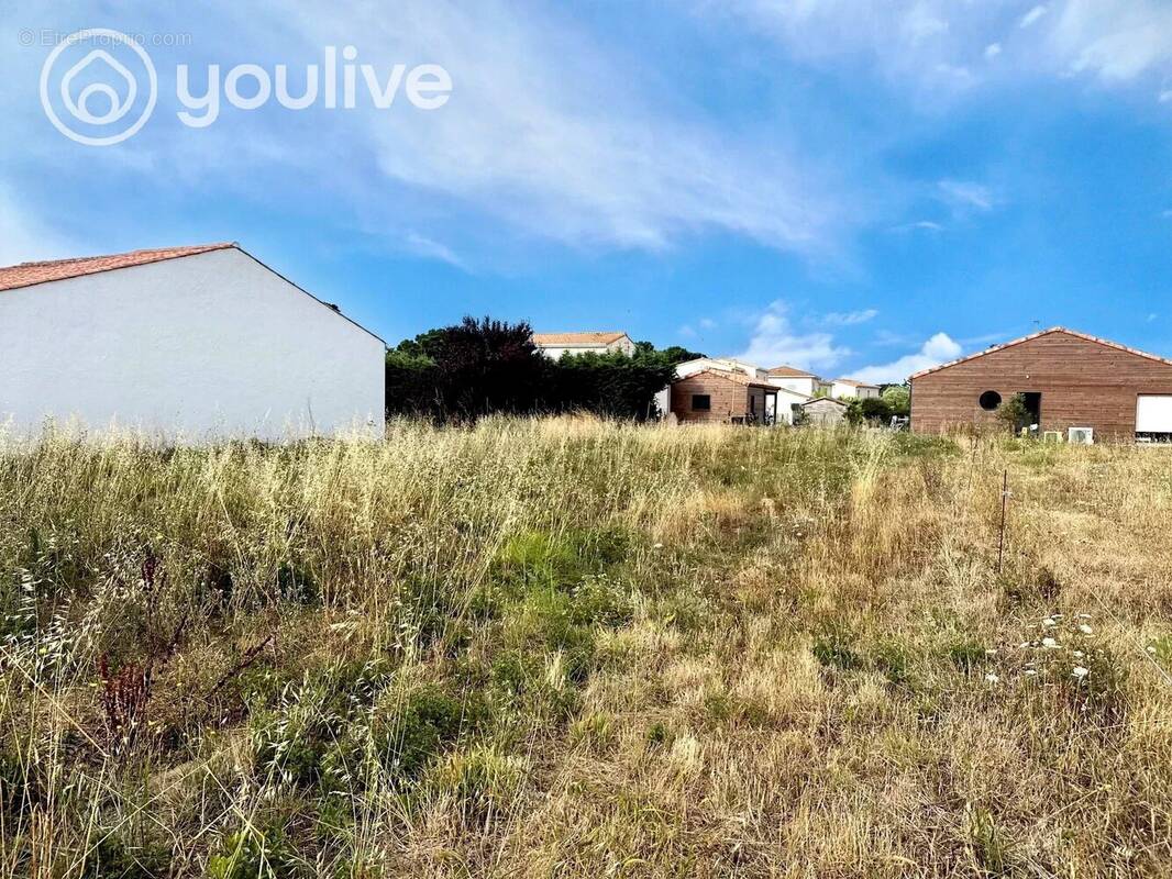 Terrain à L&#039;ILE-D&#039;OLONNE