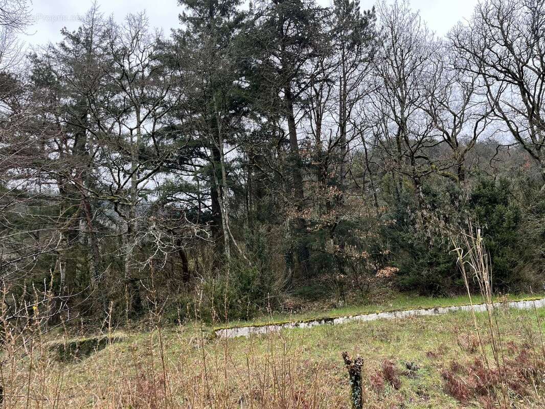 Maison à VERRERIES-DE-MOUSSANS