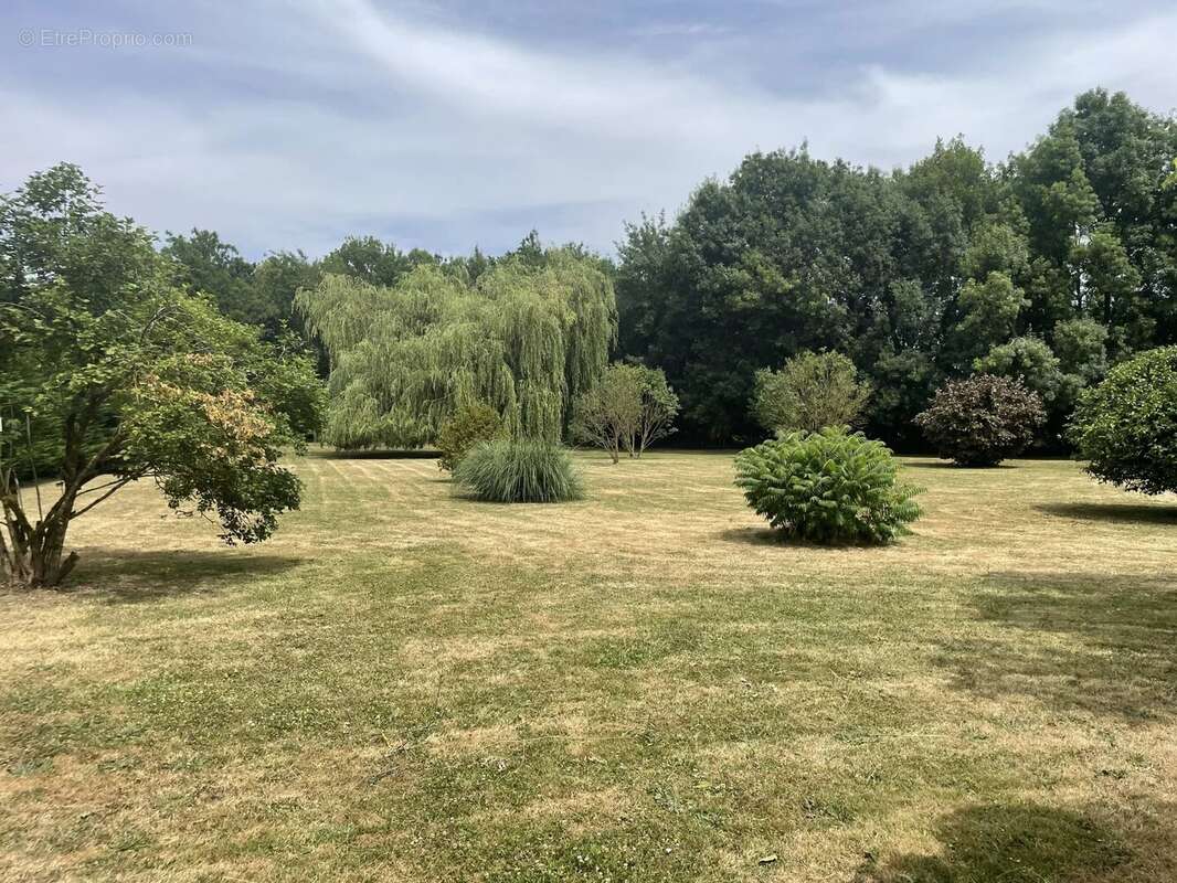 Maison à SAINT-MARTIN-DE-JUILLERS