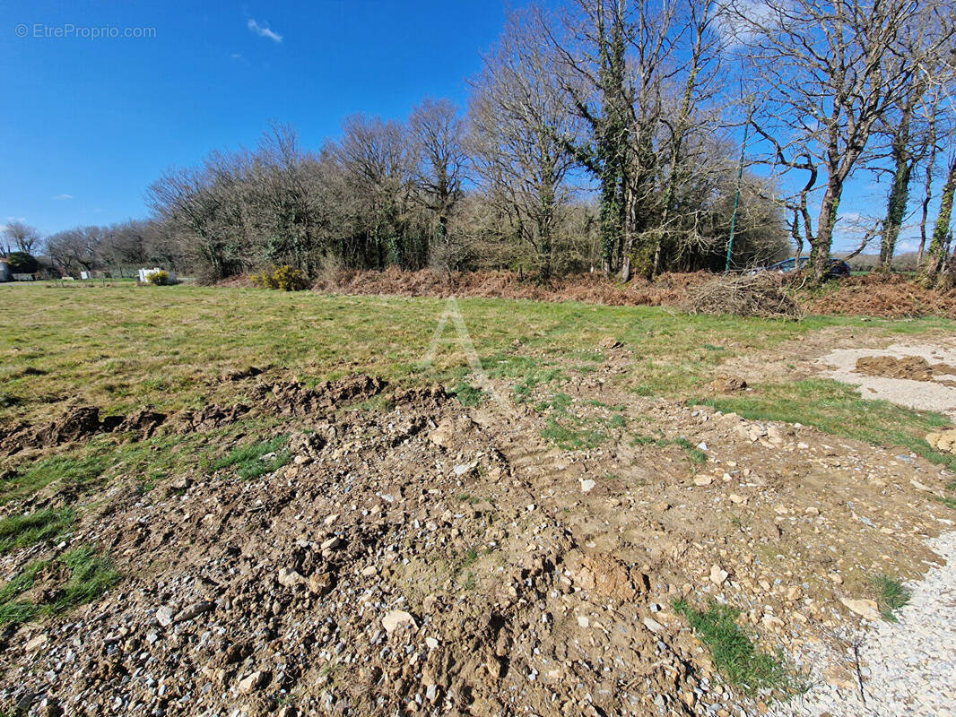 Terrain à TALMONT-SAINT-HILAIRE