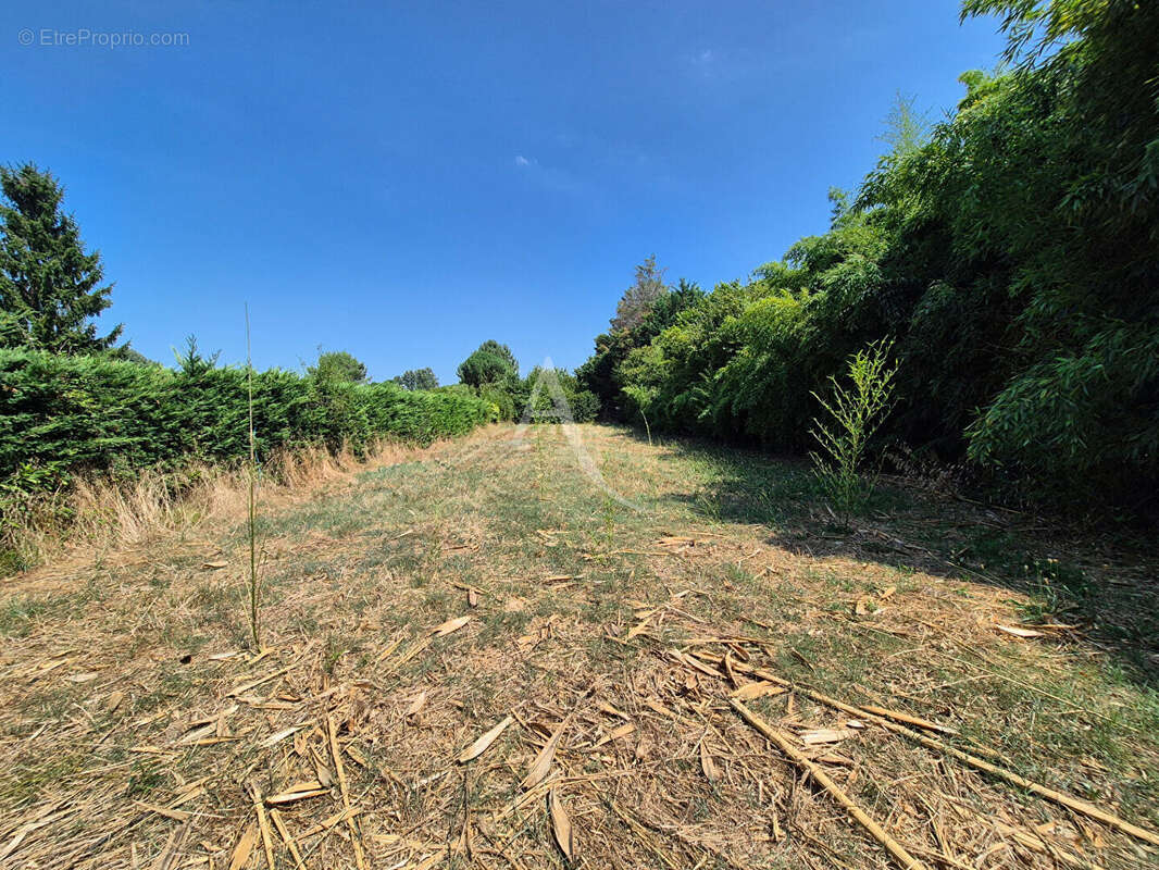 Maison à VILLENEUVE-DE-MARSAN