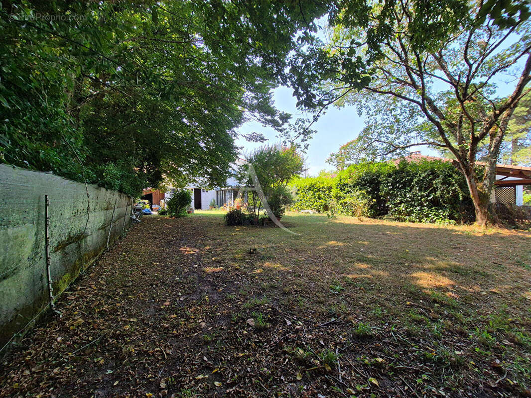 Maison à VILLENEUVE-DE-MARSAN